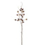 30 in Acorn Spray - Brown