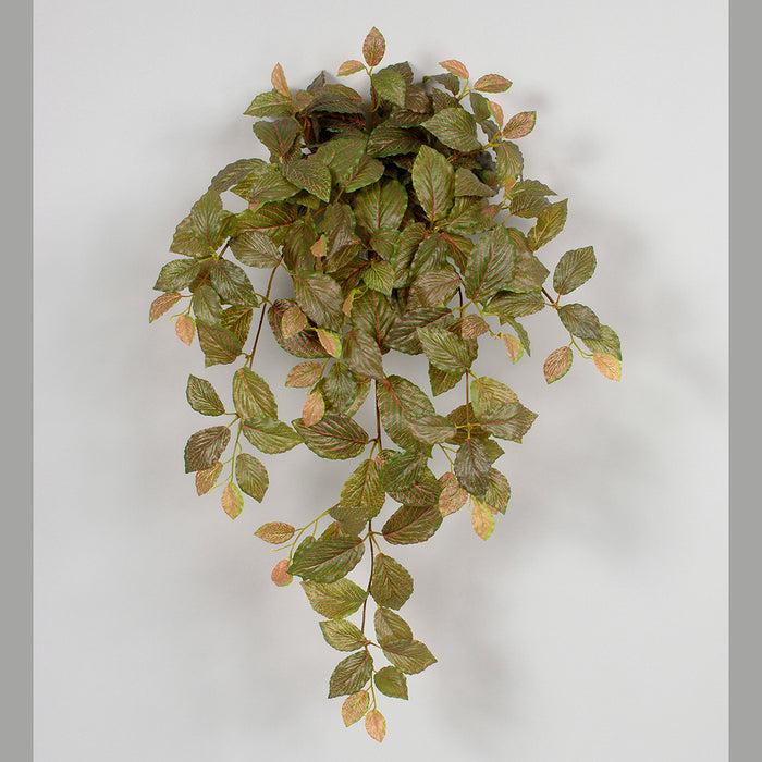31" In Large Pe Real Touch Red Vein Fittonia Bush