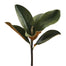 11.5" Mini Magnolia Leaf Pick - Green