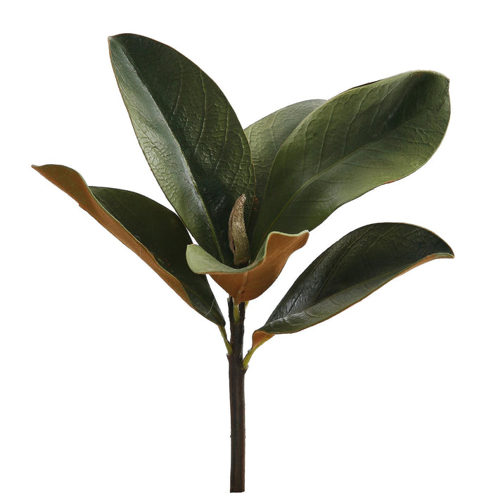11.5" Mini Magnolia Leaf Pick - Green