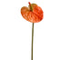 25.5" Anthurium Spray - Peach