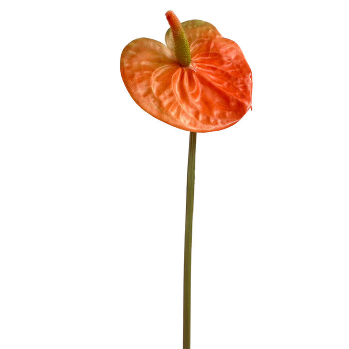 25.5" Anthurium Spray - Peach
