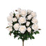 Grandiflora Rose Bush