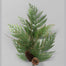 21 In Incense Cedar Spray W/Pine Cones