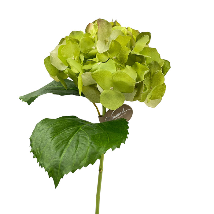 23.5" Hydrangea - Light Green