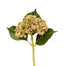 Hydrangea Seed Pick - Green/Pink