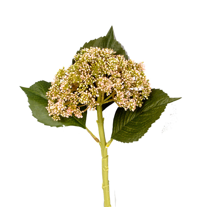 Hydrangea Seed Pick - Green/Pink