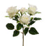 California Spray Rose White