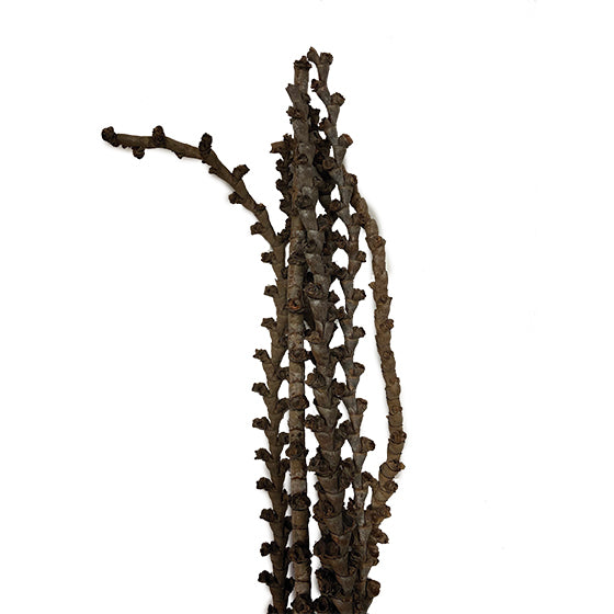 Natural Ladder Branches
