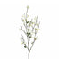 Peach Blossom Spray