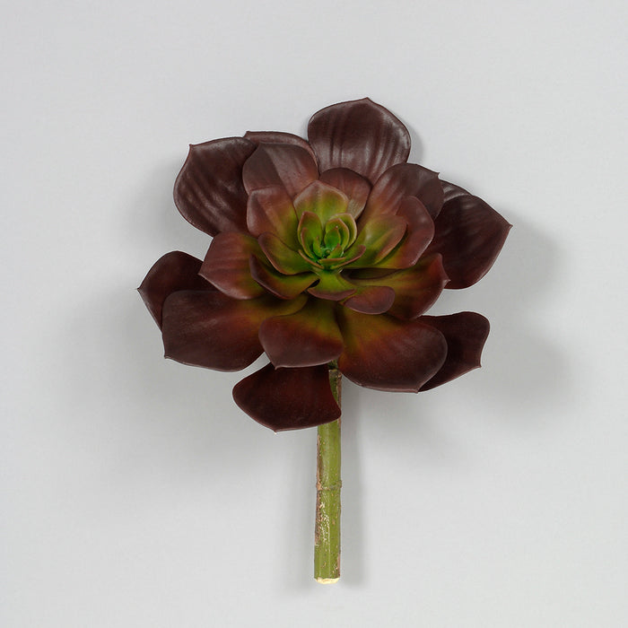 Succulent Pick - Burgundy