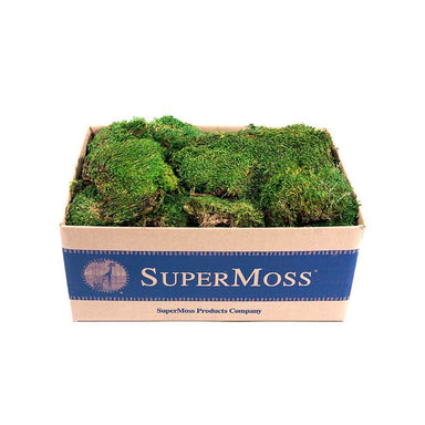 Mood Moss Bulk
