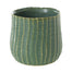 Palmero Collection