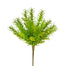 13" in Rosemary Bush - Green