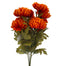 Orange Mum Bush