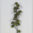 22" Succulent Spray X 18 - Dark Green