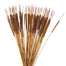 Pencil Cattails - Dark