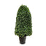 38" Rounded Boxwood Cone - Green