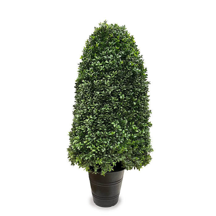 38" Rounded Boxwood Cone - Green