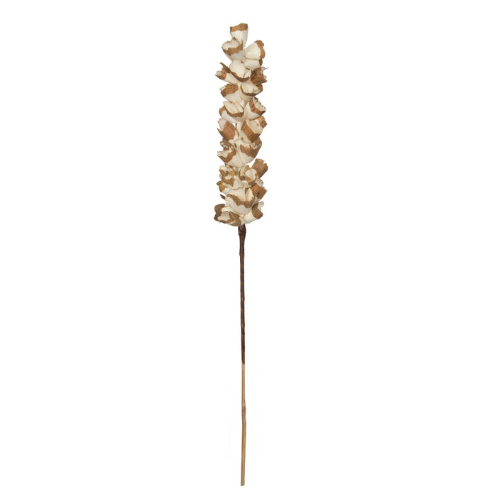 24 in Natural Sola Scrape Skin Cone (12/Bag)