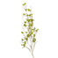 52" White Birch Branch - Green