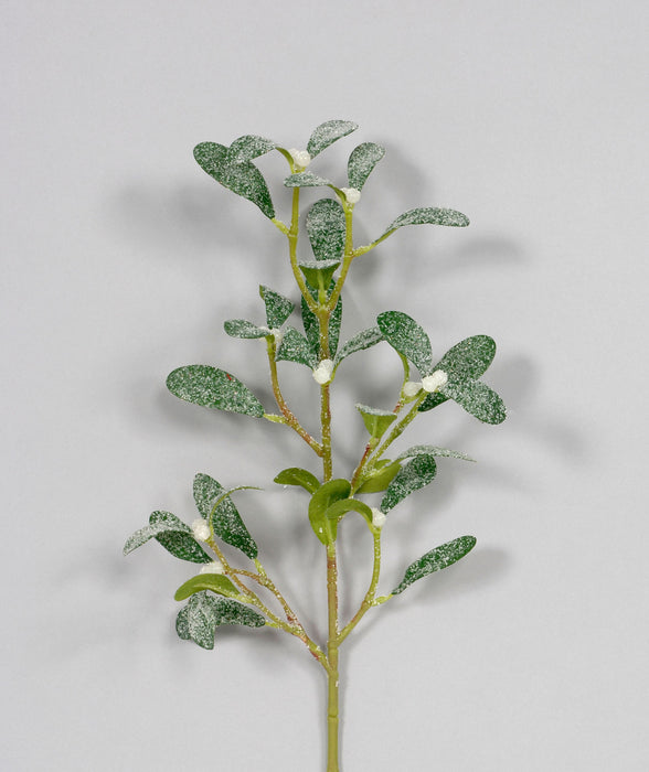 22" Iced Mistletoe Spray - Frost Green