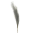 30" Grass Spray - Blue/Silver