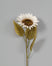Sunflower w/Leaves - Cream