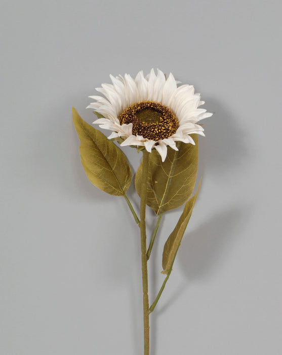 Sunflower w/Leaves - Cream