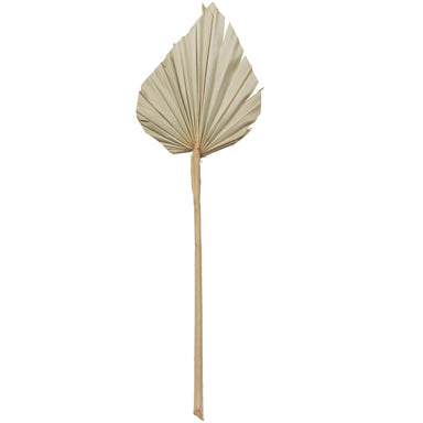 16-20 in Dried Natural Palm Spear (50/Pack)