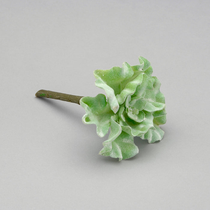Small Dusty Succulent Pick - Grey/Green
