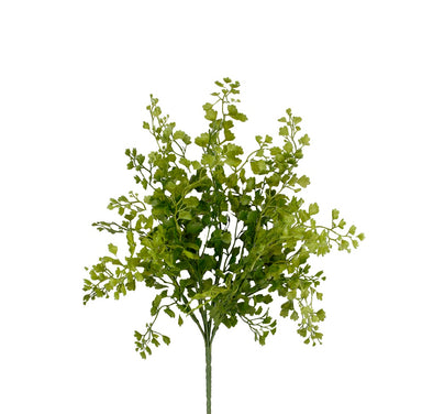 17 in Maiden Hair Spray - Green