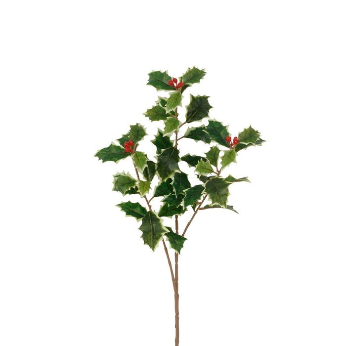 27 in Holly/Berry Spray - Variegated