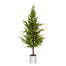 52" Pine Tree in a Tin Pot