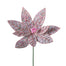 13 in Poinsettia Pick - White/Multicolor