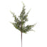 18" Oregon Juniper Spray Two Tone - Green