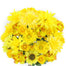 Dahlia/Sunflower Mixed Fall Bush