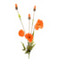 22" Poppy Spray - Orange