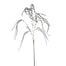 35" Iced Amaranthus Branch - Natural