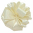 #9 Double Face Satin Ribbon