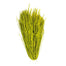 Raffia - 300 Gram Bundle