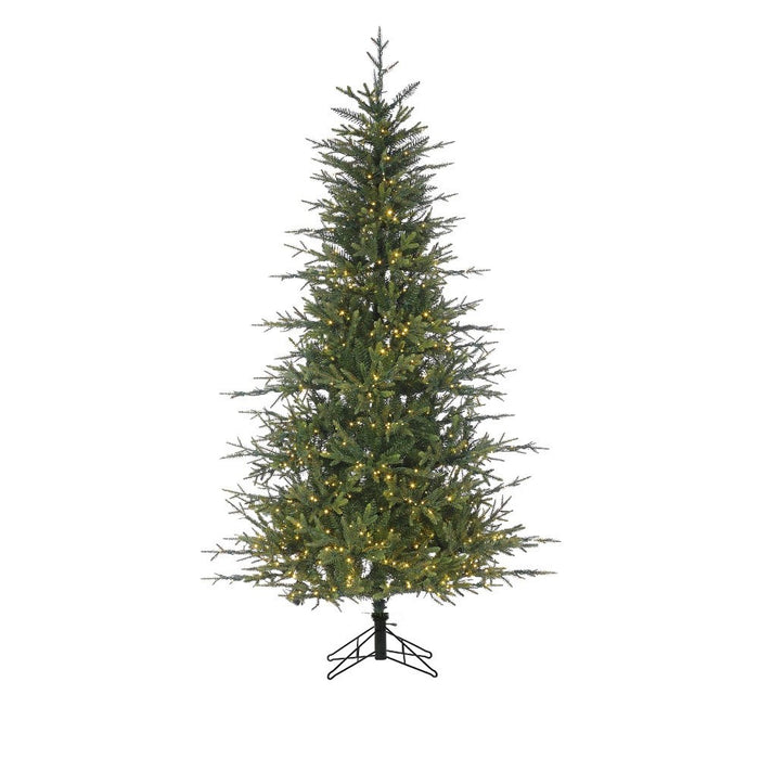 9 ft Fieldstone Spruce Tree