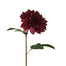 Bella Dahlia Stem