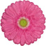 Gerbera Hot Pink Samara