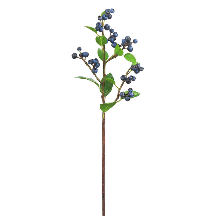23" Blueberry Spray