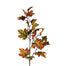 Canadian Maple Leaf Spray