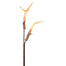 Antlers Spray - Natural