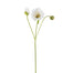 22.5" Poppy - Beige