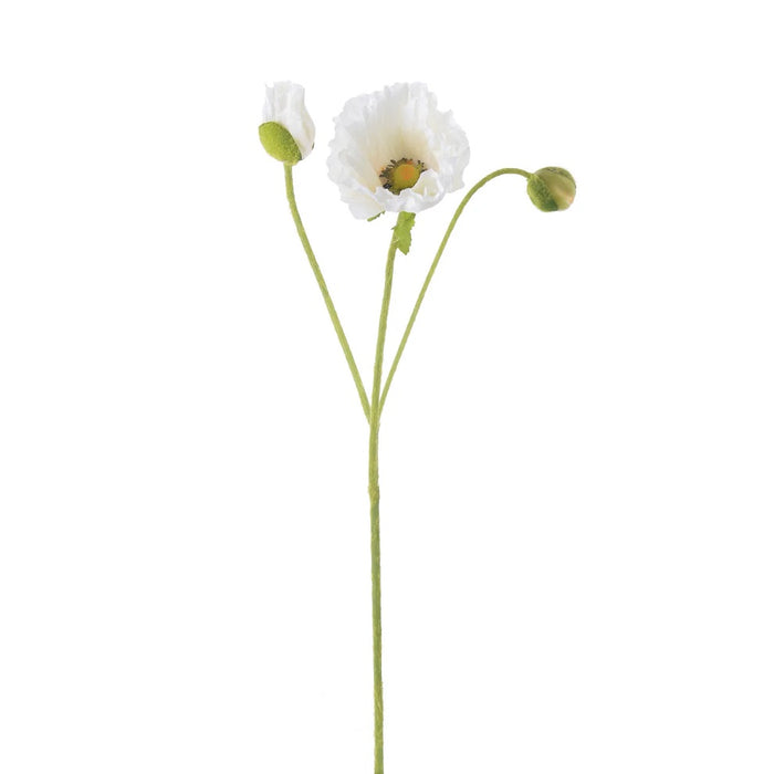 22.5" Poppy - Beige