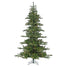 9' Morgan Fir Tree - Green